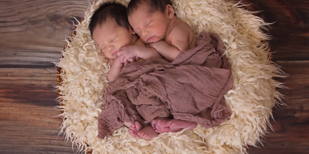 twins-gd49093fd3_1920